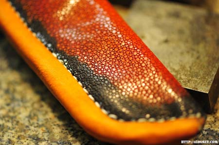 SNB_7039_manta sheath